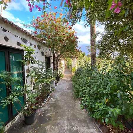 Jacaranda Casa vacanze Buenavista de Abajo