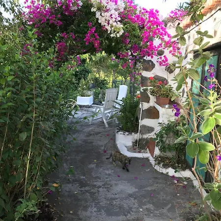 Ferienhaus Jacaranda *