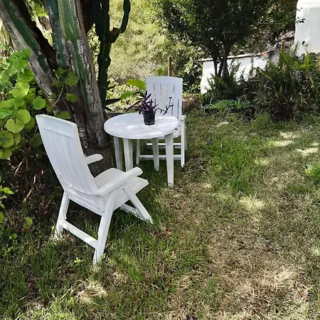 Ferienhaus Jacaranda